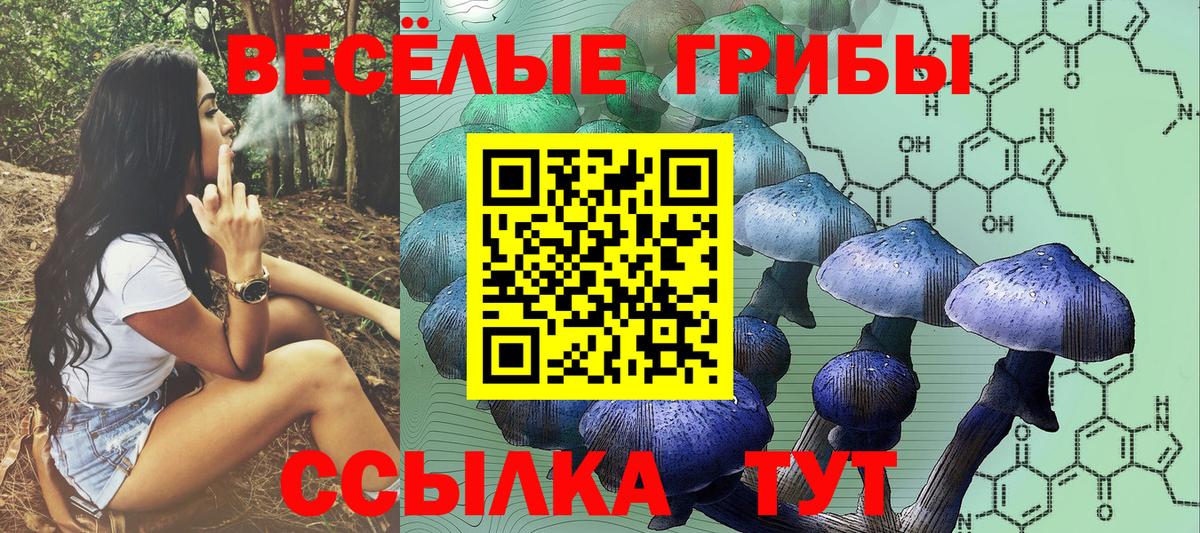 продажа наркотиков  Галлюциногенные грибы MAGIC MUSHROOMS  Вход с VPN  Находка 