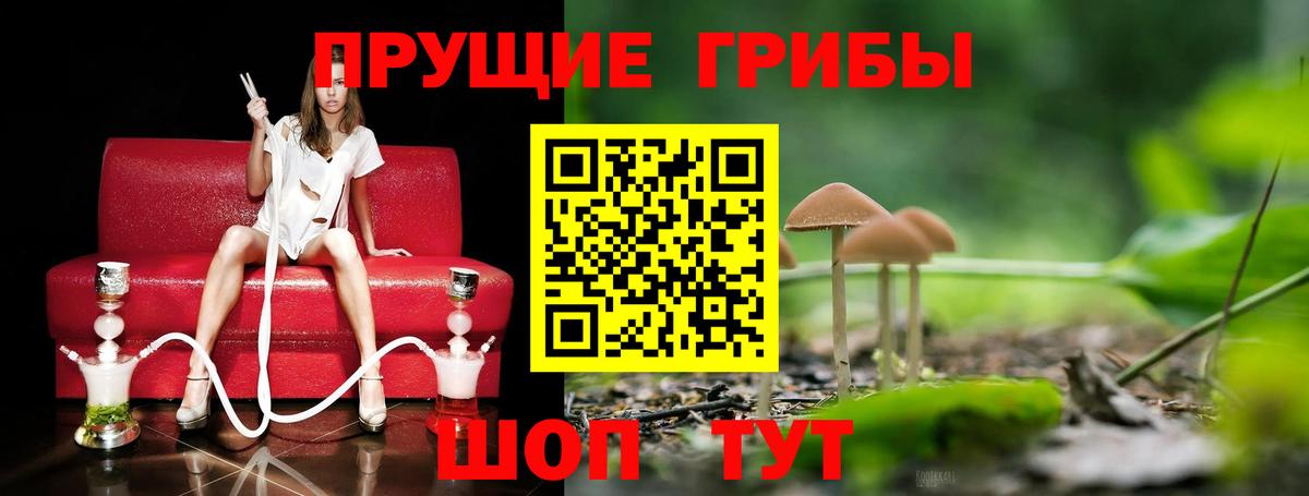Галлюциногенные грибы GOLDEN TEACHER Находка
